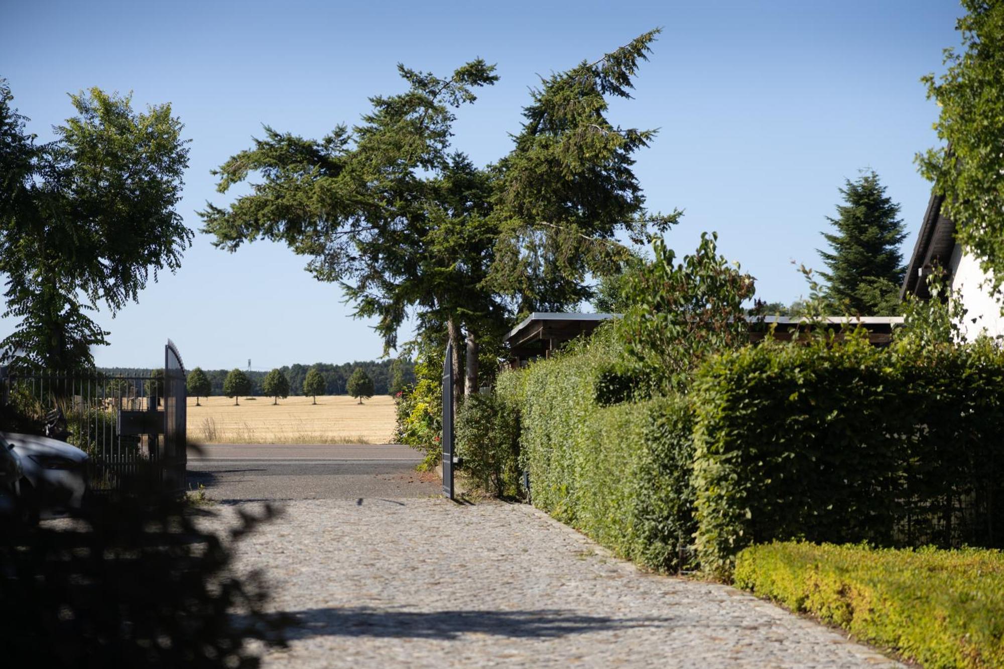 Pension Kleiner Koenig Struppen-Siedlung Buitenkant foto